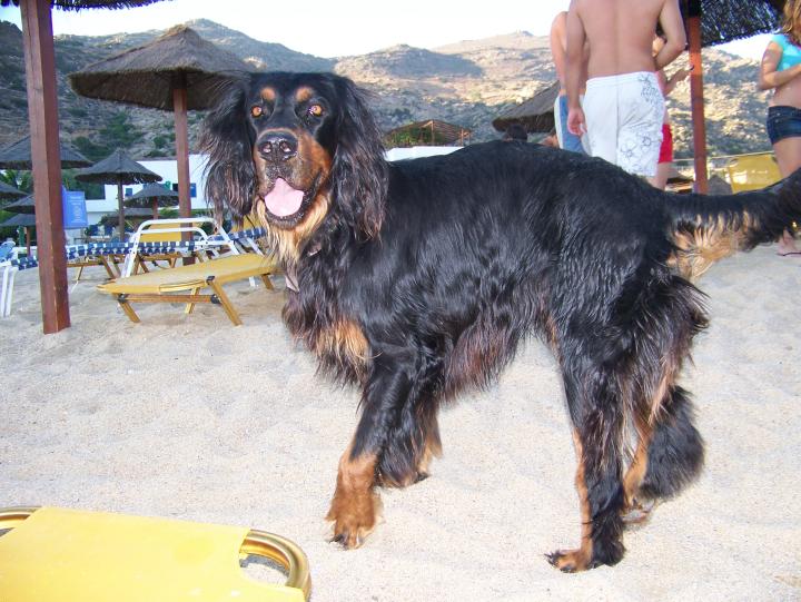 Mylopotas Beach on Ios Island in Greece (July 2007)